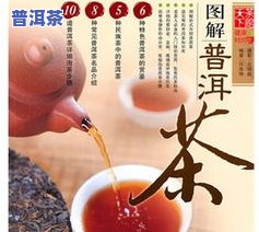 普洱茶冲泡图解大全及视频教程