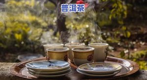 光阴普洱茶，品味岁月的韵味：探索光阴普洱茶的世界