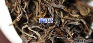 金冰岛古树茶多少钱一斤，金冰岛古树茶价格：每斤售价多少？