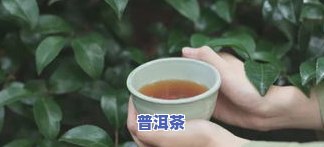 忘喝普洱茶-普洱茶不喝能有什么其他作用