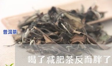 普洱茶不爱喝怎么办呀视频教程，如何解决不喜欢普洱茶的问题？看这里！