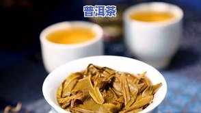 普洱茶拍照图片大最新-普洱茶拍照图片大最新版