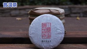 普洱茶拍照图片大最新-普洱茶拍照图片大最新版