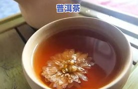 普洱茶和菊花一起好吗-普洱茶和菊花能一起喝吗