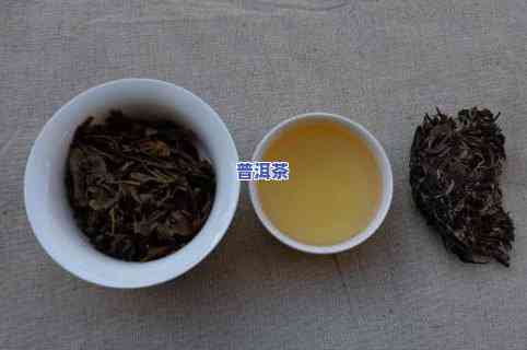 探索冰岛古树茶的独特口感特点