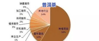 普洱茶菌丝：揭示其特性与应用的全面解析