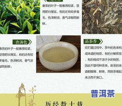 探究冰岛古树春茶与秋茶的区别