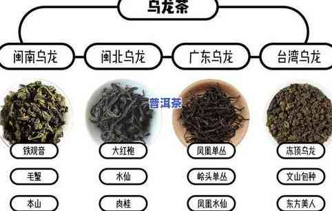 普洱茶发酵茶：定义、特点与分类