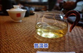 深入探索：冰岛茶香气的特征与口感特点