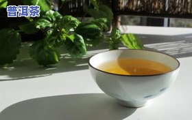 凌顶普洱茶徐鹏：揭秘茶叶生长全过程与品鉴技巧