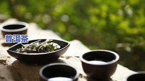 最贵的茶叶是什么茶叶，探秘茶文化：哪种茶叶堪称国宝级珍品？