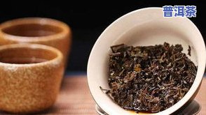 最贵的茶叶是什么茶叶，探秘茶文化：哪种茶叶堪称国宝级珍品？