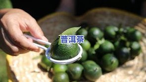 犇富小青柑普洱茶价格-福柑源小青柑普洱茶