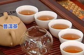 喝普洱茶会饿吗？原因解析