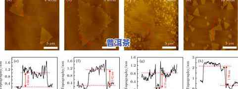 永年九九普洱茶的意义：详解其种类与颜色特性