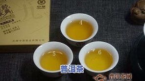 普洱茶汤图：特写照片展示精致茶汤色泽与质感