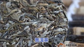 冰岛普洱茶叶，探索冰岛的独特风味：品尝普洱茶的冰岛版本