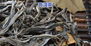 普洱茶冰岛多少钱一饼，揭秘普洱茶冰岛的价格：一饼多少钱？