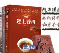 春节普洱茶礼品广告词大全：精选茶叶，品味佳节，送礼首选！