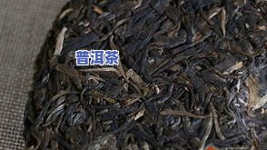 冰岛普洱茶都有哪些，探秘冰岛普洱茶：揭秘各大知名