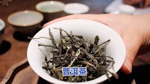 曼松普洱茶是哪个山头的茶？了解其产地及特点