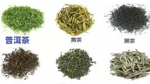 冰岛高档普洱茶有哪些，探索冰岛高档普洱茶的世界：品种与特点全解析