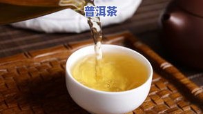 老班章普洱茶生茶：357g价格与熟茶区别全解析