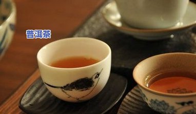 正宗冰岛古茶批发价格多少？请提供详细信息