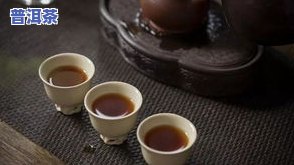 百年春普洱茶，品鉴百年春普洱茶：醇厚滋味，历久弥新