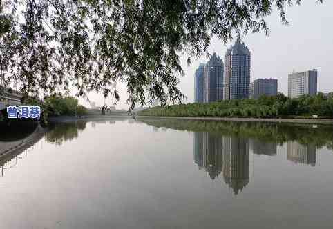 生普洱茶防霉视频教学：全面解析普洱茶防霉方法