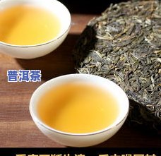 毅润普洱茶-毅普牌普洱茶