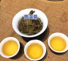 普洱茶古六大茶山与新六大茶山的区别及其特点