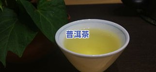 冰岛美人普洱茶-冰岛美人普洱茶怎么样