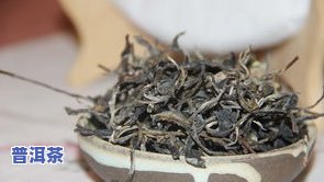 普洱茶产地及茶名大全：详细介绍与精美图片