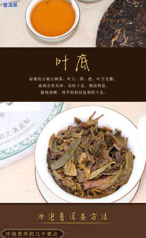 云南普洱冰岛茶价格多少？一斤价是多少？