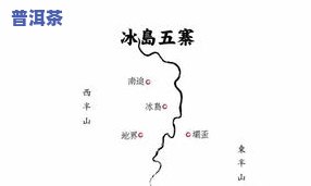 冰岛普洱有收藏价值吗？探讨其市场前景与价格走势