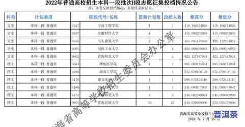 冰岛普洱有收藏价值吗？探讨其市场前景与价格走势