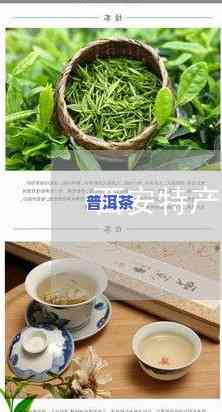 过期的茶叶还能喝吗？未开封也适用，答案在这里！