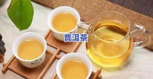 熟普洱茶和生普洱茶的功效比较及作用解析