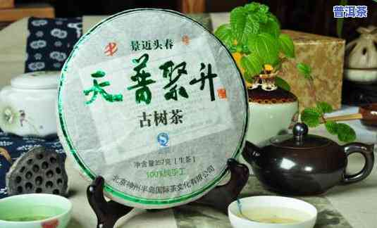 普洱茶位于哪个茶区，探寻茶文化之旅：普洱茶的产地——茶区解析