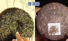 熟普洱茶：热性还是凉性？探讨其性质与效果