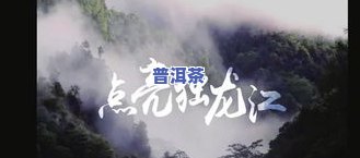 冰岛茶王宣传片视频-冰岛茶王宣传片视频大全