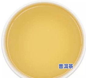 中梁翡翠大白菜普洱茶-2020年中茶翡翠大白菜普洱