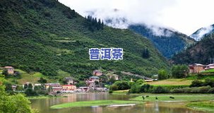 探寻冰岛茶区：揭秘其独特山头景观