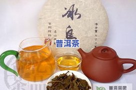 冰岛古树茶正确喝法-冰岛古树茶正确喝法图片