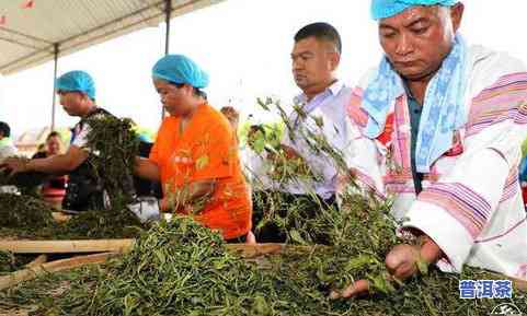 云南圆升泰茶业，探索云南的茶叶之旅：圆升泰茶业的高品质普洱茶