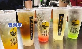 冰岛老茶柱50公斤多少钱？一探价格与瓶装差异