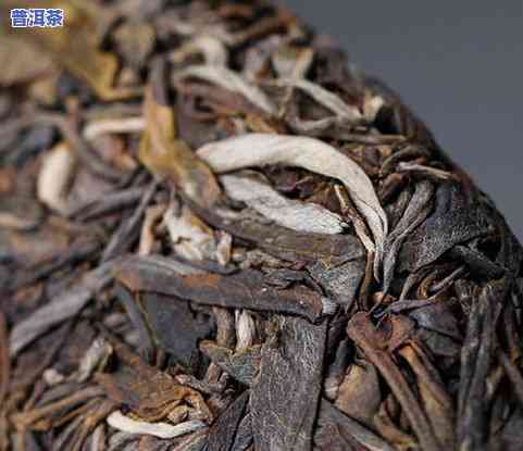 普洱茶1级好还是5级好-普洱茶级别顺序1-8