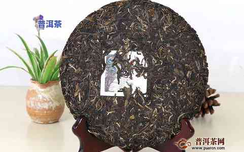 普洱茶消息-普洱茶消息式标题