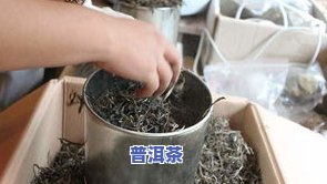 普洱茶从何时开始压饼？